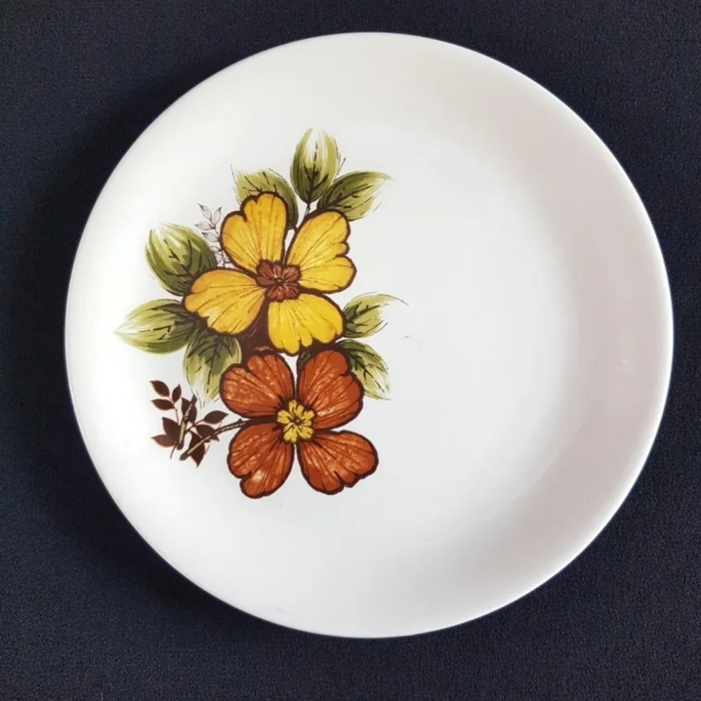 6pc Myott Ironstone Ware WOODSTOCK Dessert Plate Set
